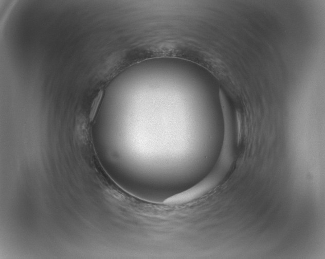 X0000054370037200508051606