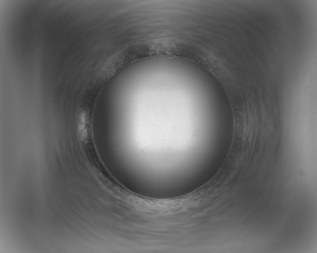 X0000054370038200508051606