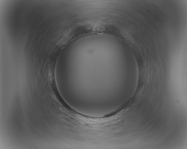 X0000054370039200508051606