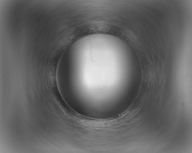 X0000054370040200508051606