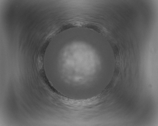 X0000054370043200508051606