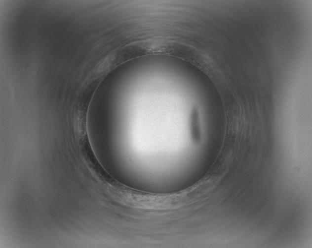 X0000054370044200508051606