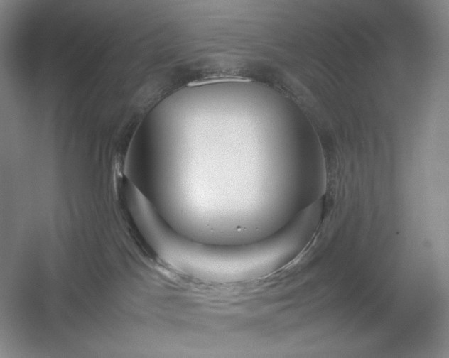 X0000054370045200508051606