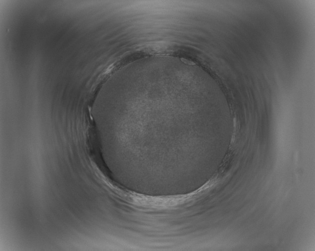 X0000054370048200508051606