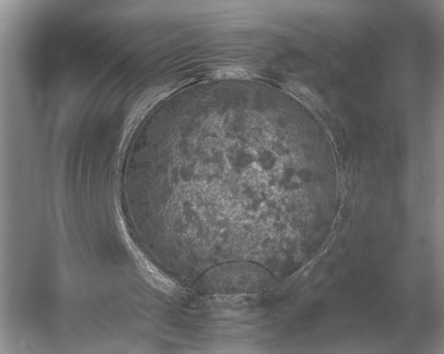 X0000054370049200508051605