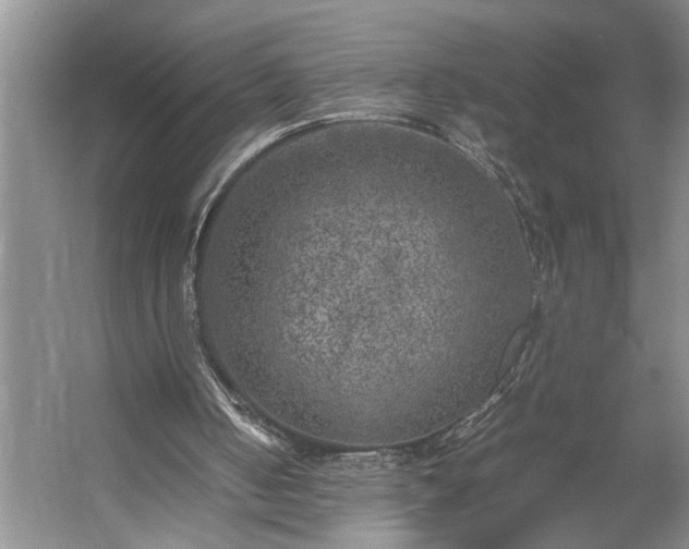 X0000054370050200508051606