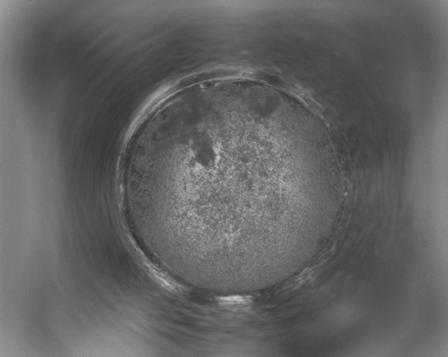 X0000054370053200508051606