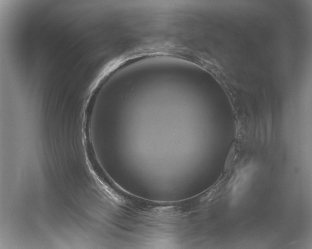 X0000054370054200508051606