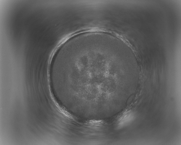 X0000054370055200508051606