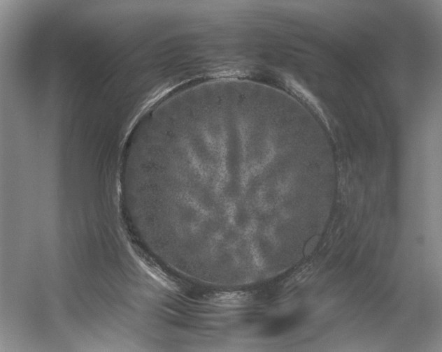 X0000054370059200508051606