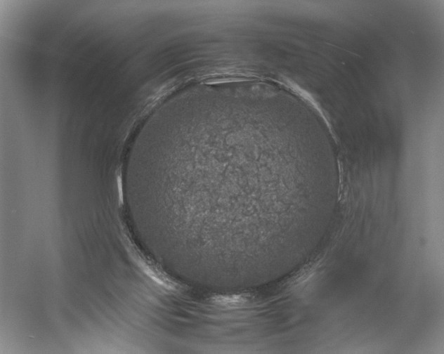 X0000054370061200508051606