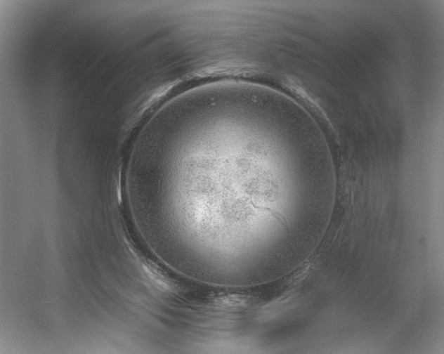 X0000054370062200508051606