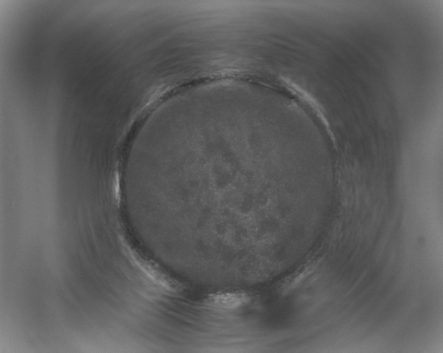 X0000054370067200508051606