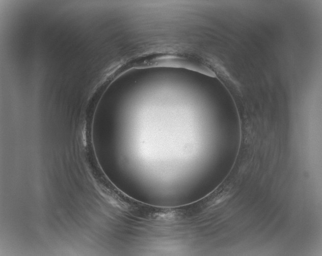 X0000054370068200508051606