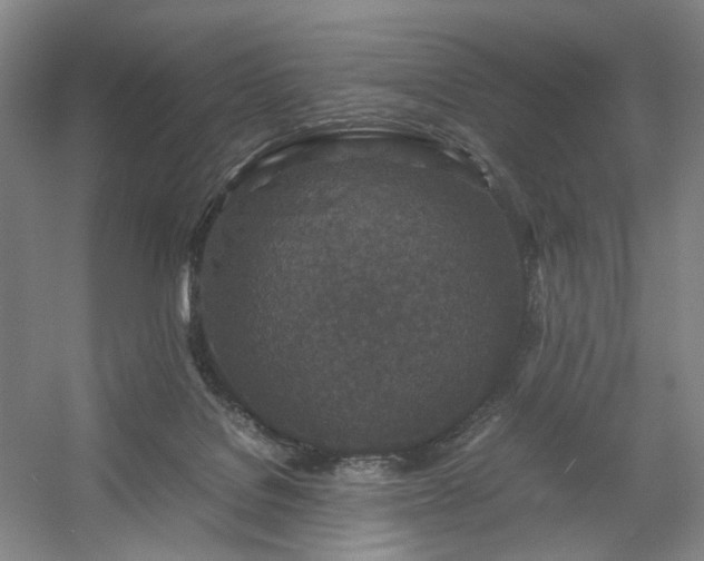 X0000054370076200508051606