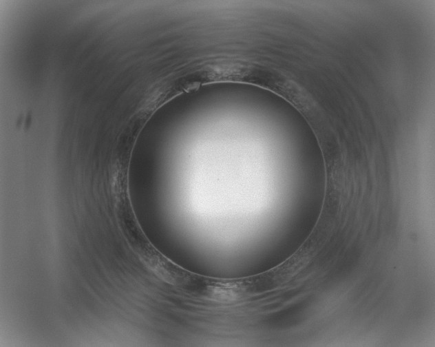 X0000054370079200508051606