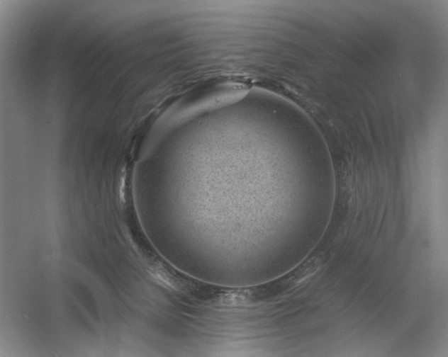 X0000054370080200508051606