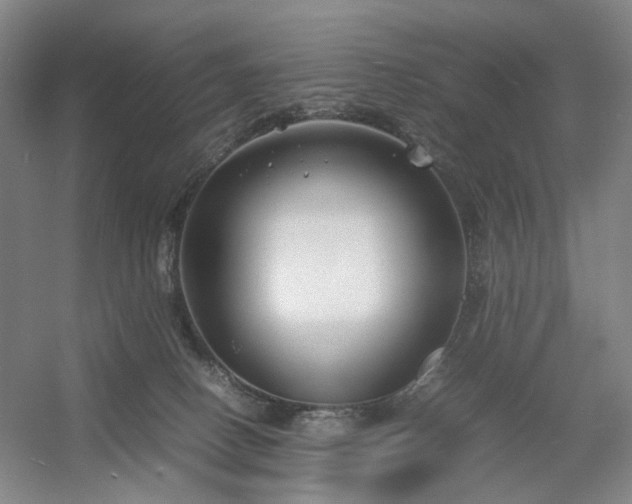 X0000054370082200508051606