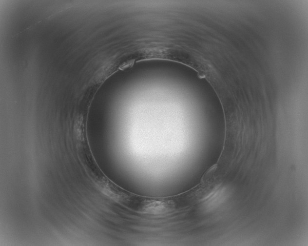 X0000054370083200508051606