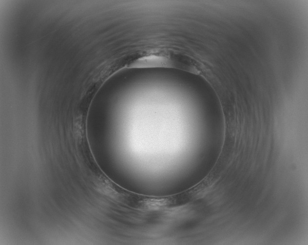 X0000054370085200508051606