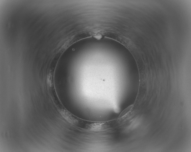 X0000054370090200508051606