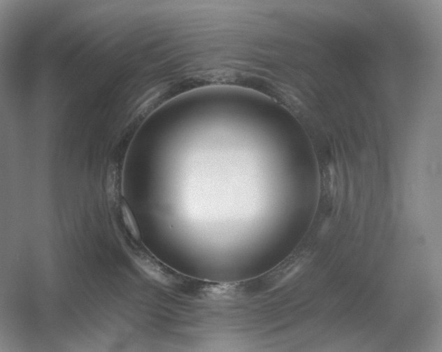 X0000054370092200508051606