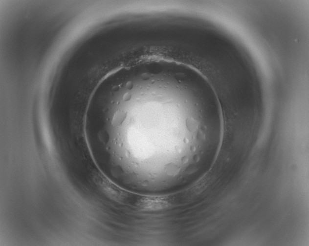 X0000054370093200508051606