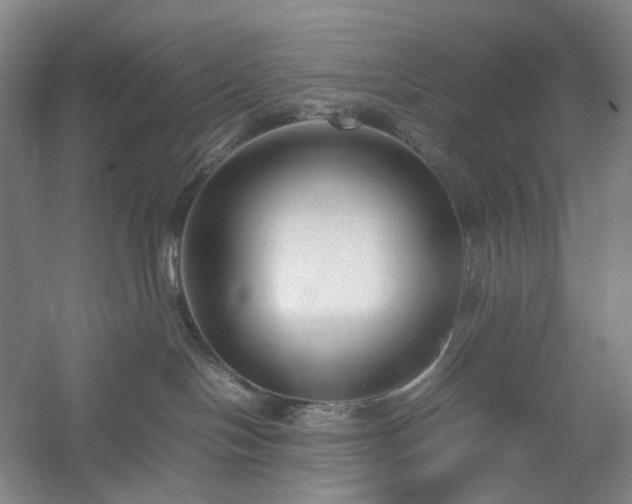 X0000054370094200508051606