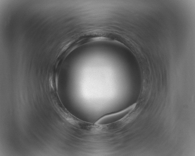 X0000054370096200508051606