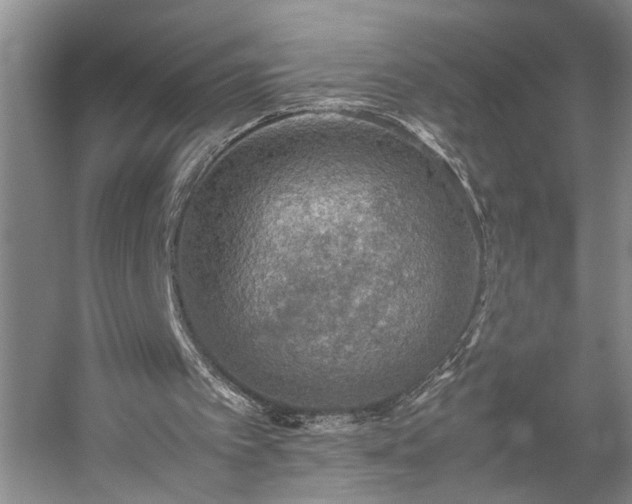 X0000054370097200508051605