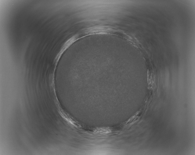 X0000054370099200508051605