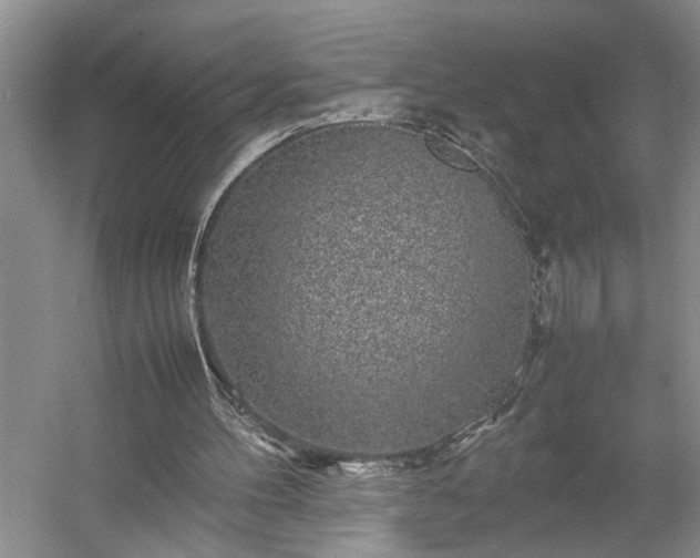 X0000054370100200508051605