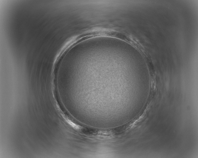 X0000054370101200508051605