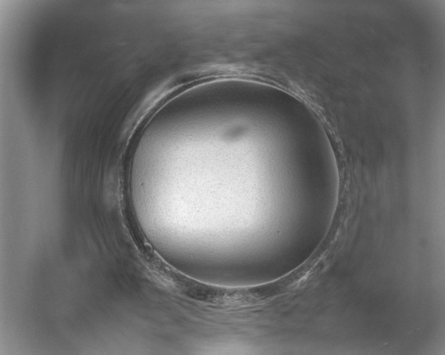 X0000054370103200508051605