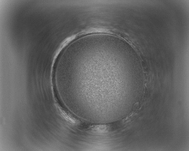 X0000054370104200508051605