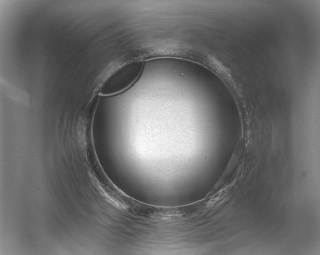 X0000054370106200508051605