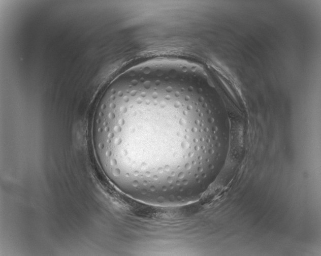 X0000054370107200508051605