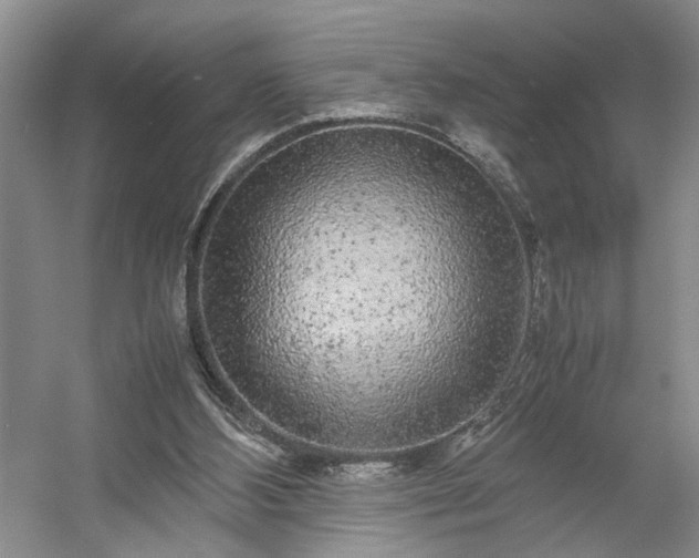 X0000054370108200508051605