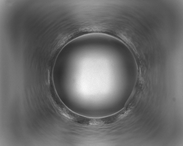 X0000054370109200508051605