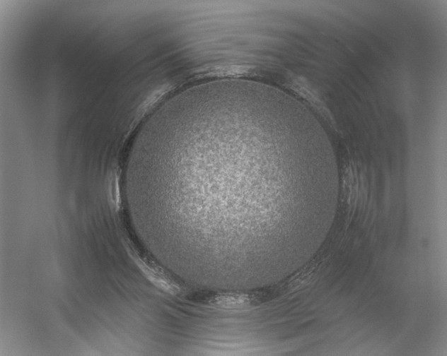 X0000054370110200508051605