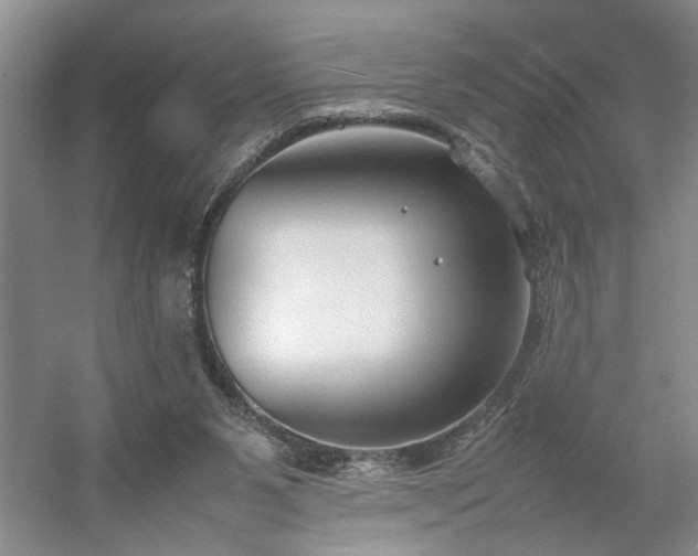 X0000054370111200508051605