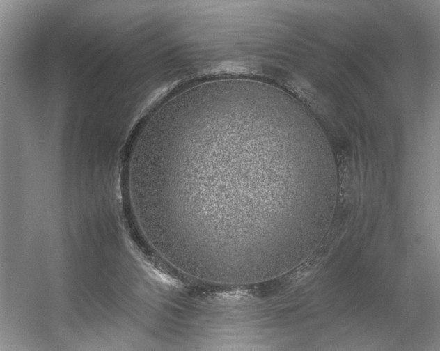 X0000054370112200508051605