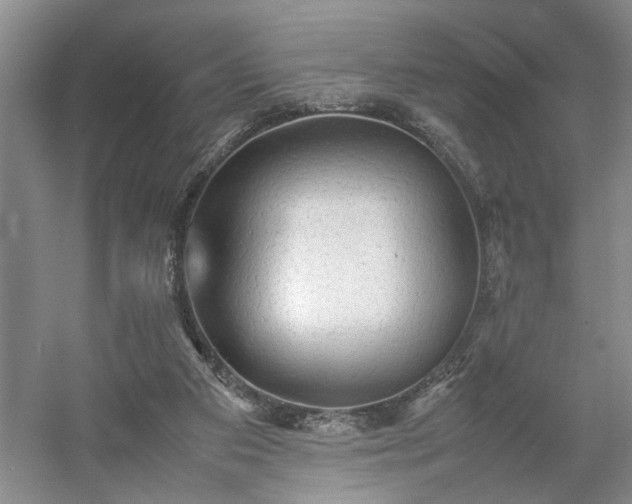 X0000054370113200508051605