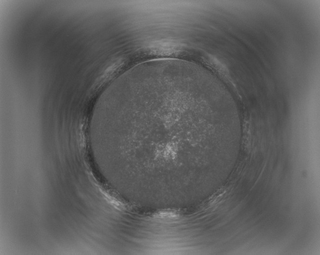 X0000054370114200508051605