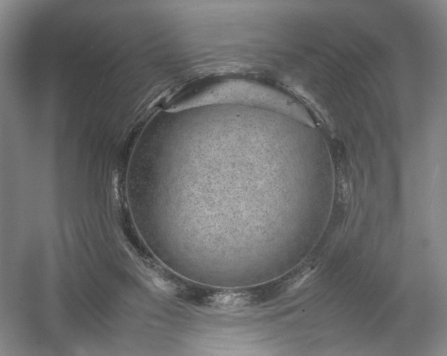 X0000054370117200508051605