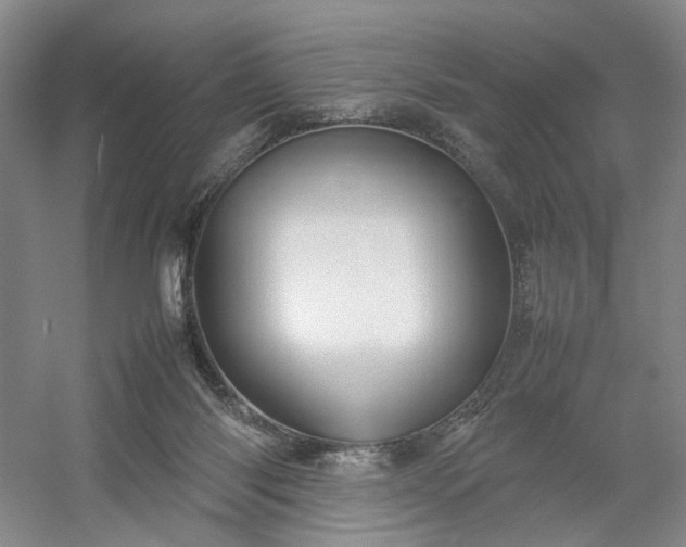 X0000054370118200508051605