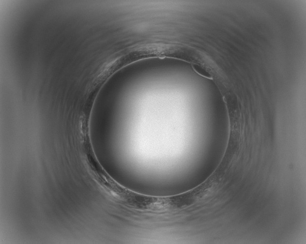 X0000054370119200508051605