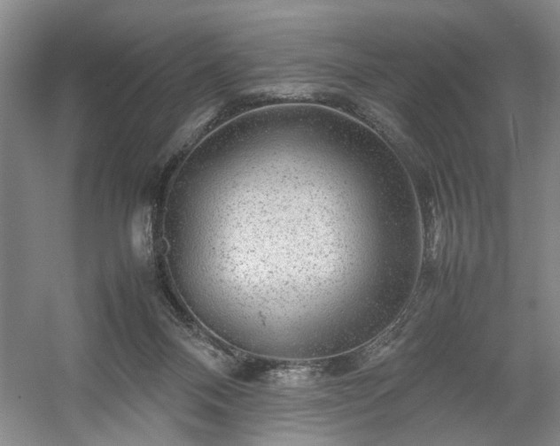 X0000054370120200508051605