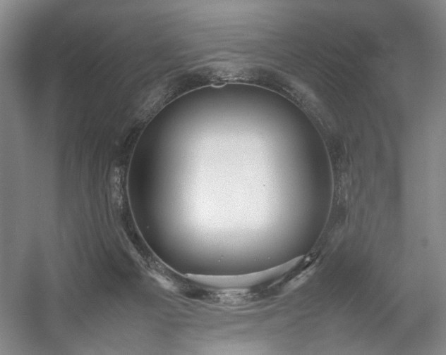 X0000054370121200508051605