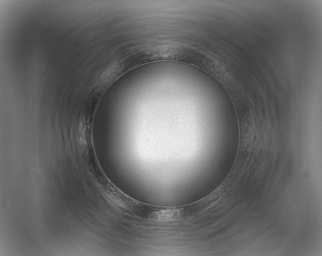 X0000054370126200508051605